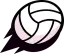 VOLLEY_BRAWL icon